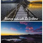 Pilzone * Iseo