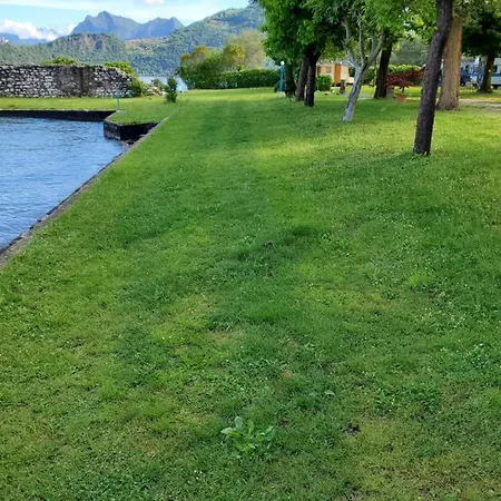 Kamp alanı Pilzone